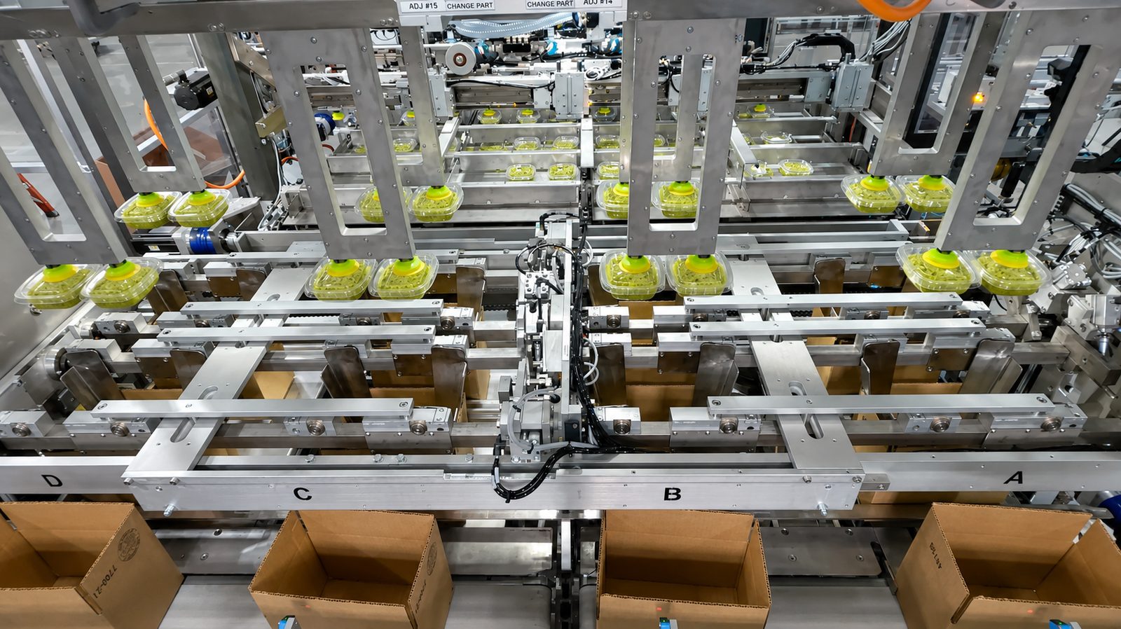 Integrated case packing line loading tubs into cases