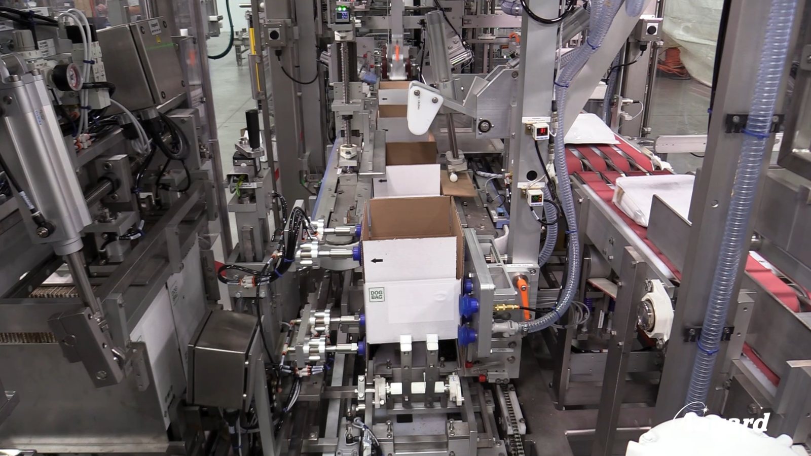 Aagard case forming and packing engineered as one integrated system